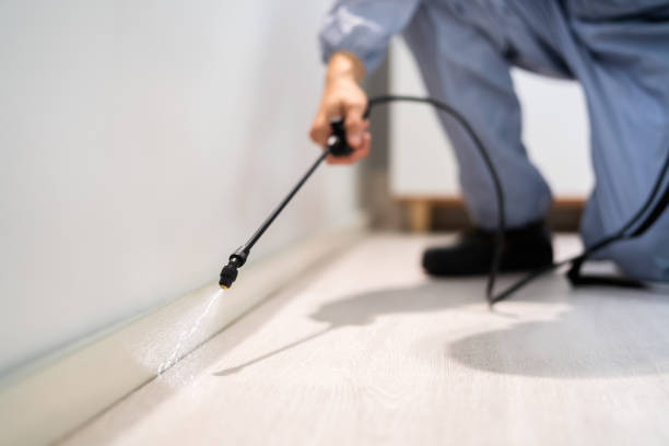Licensed Termite Control service in Erath, LA - Nex Pest Control
