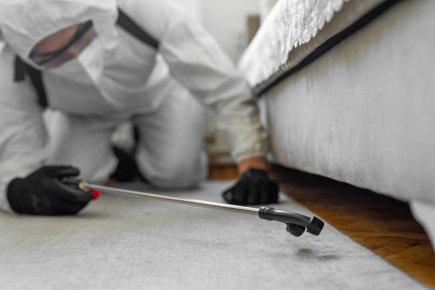 Professional Termite Control technician working in Erath, LA