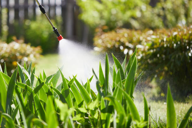 24/7 Emergency Termite Control experts in Erath, LA