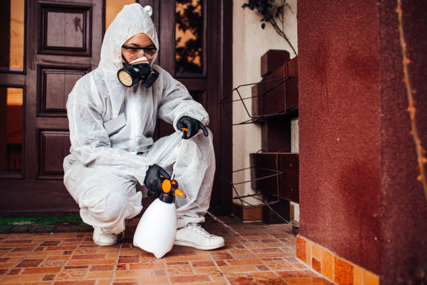 Reliable Termite Control contractor in Erath, LA by Nex Pest Control